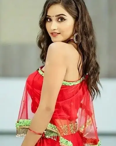 Escort In Sabarkantha